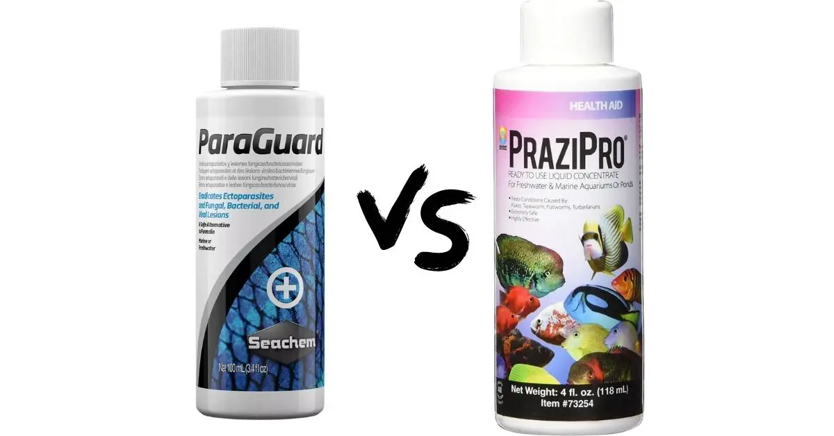 PraziPro vs Paraguard - Differences Between These Products