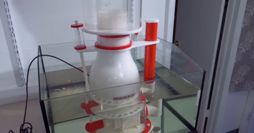 Natural Alternative to Protein Skimmer for Saltwater Aquarium Reef