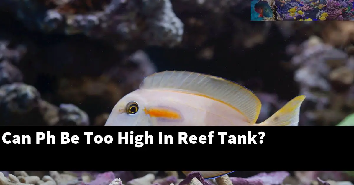 Can Ph Be Too High In Reef Tank?