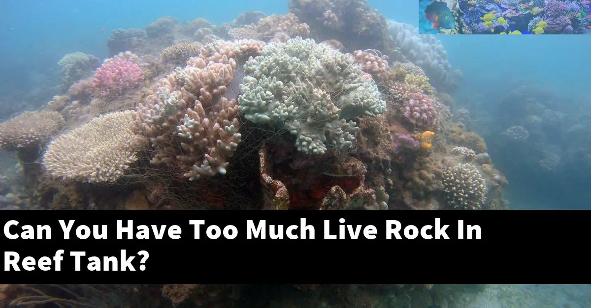 Can You Have Too Much Live Rock In Reef Tank?