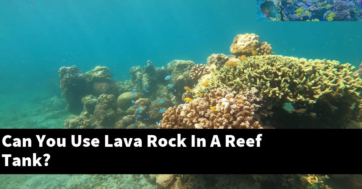 Can You Use Lava Rock In A Reef Tank?