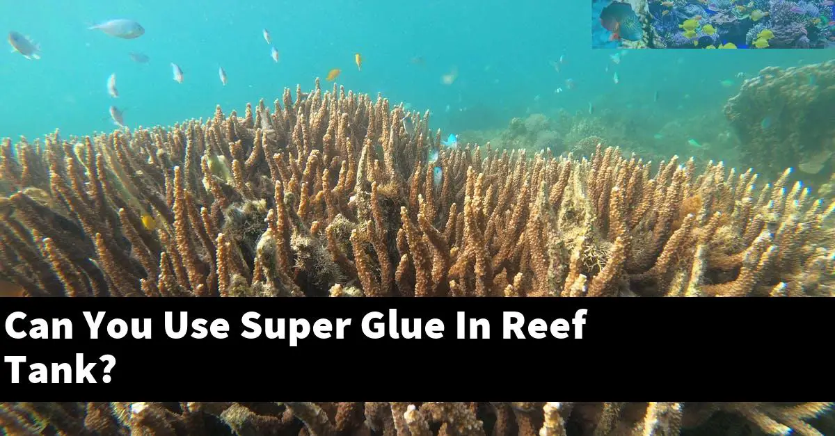 Can You Use Super Glue In Reef Tank?