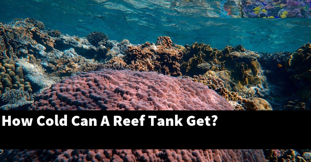 How Cold Can A Reef Tank Get?