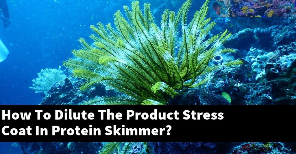 How To Dilute The Product Stress Coat In Protein Skimmer?