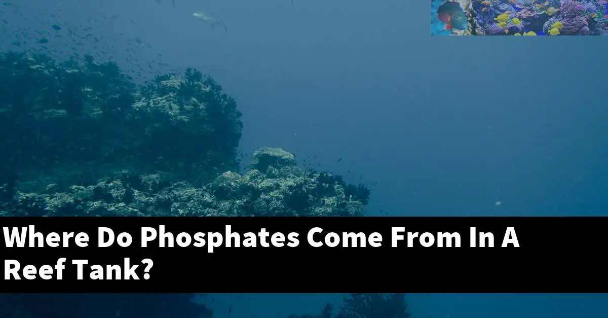 Where Do Phosphates Come From In A Reef Tank?
